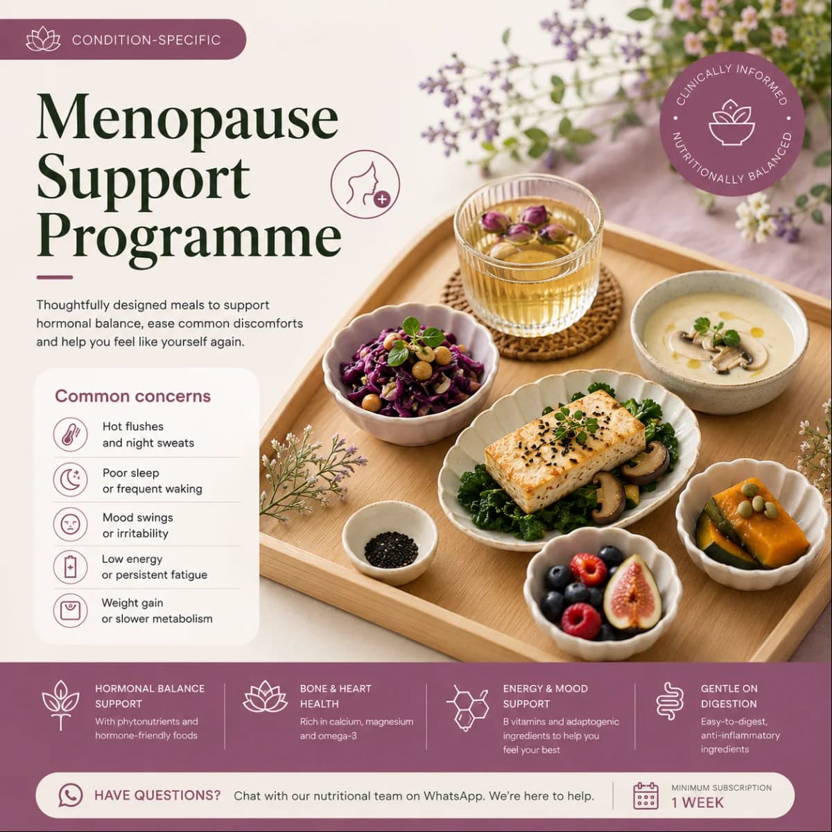 Menopause Support Programme