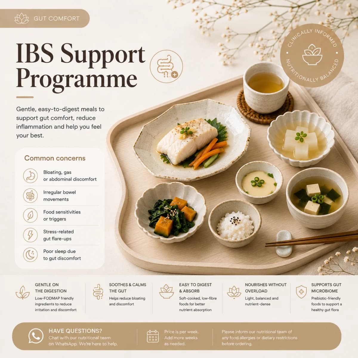IBS Support Programme
