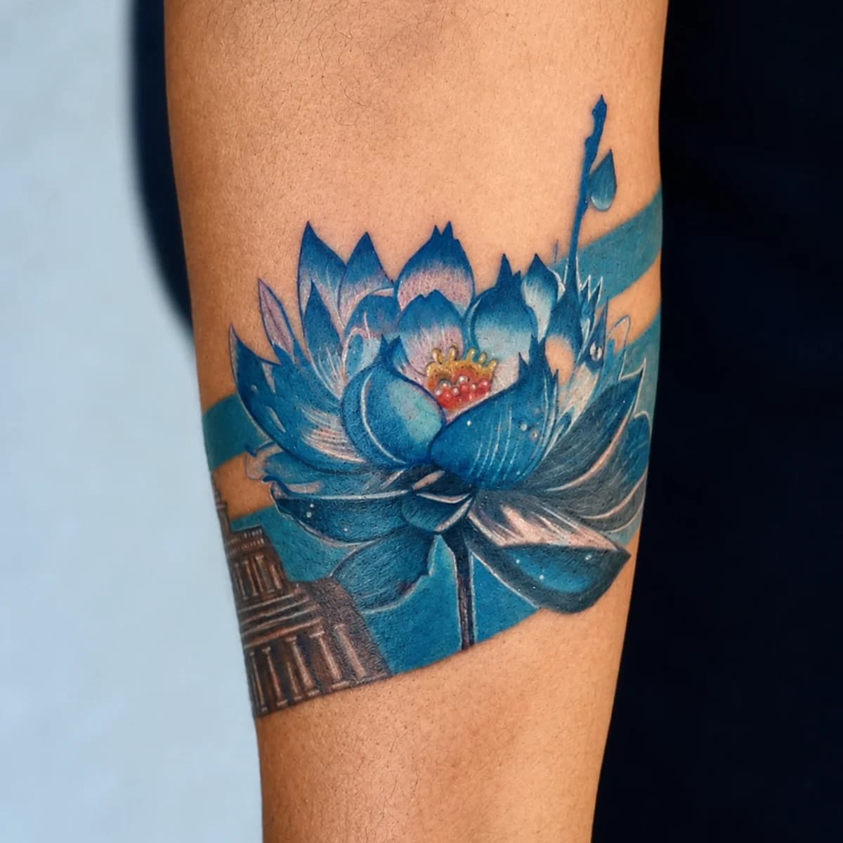 Lotus in Bloom - Nature