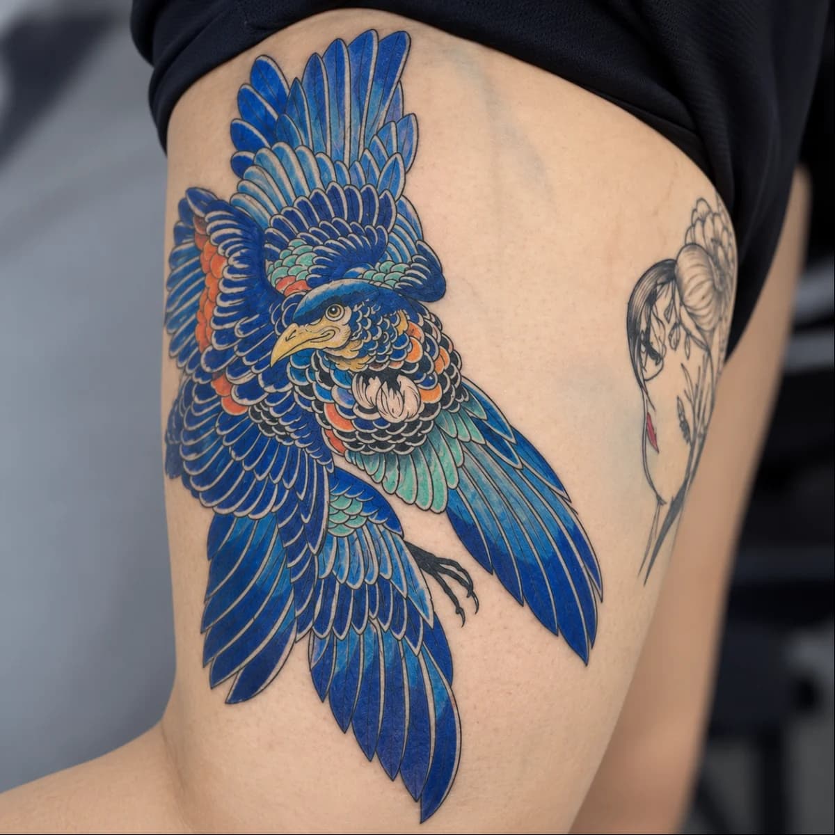 Blue Wings - Nature
